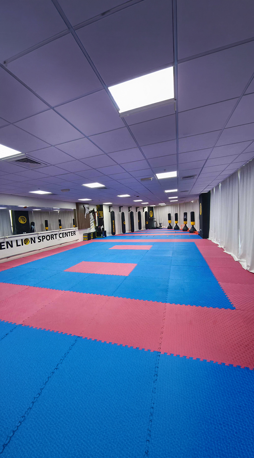 Golden Lion Training