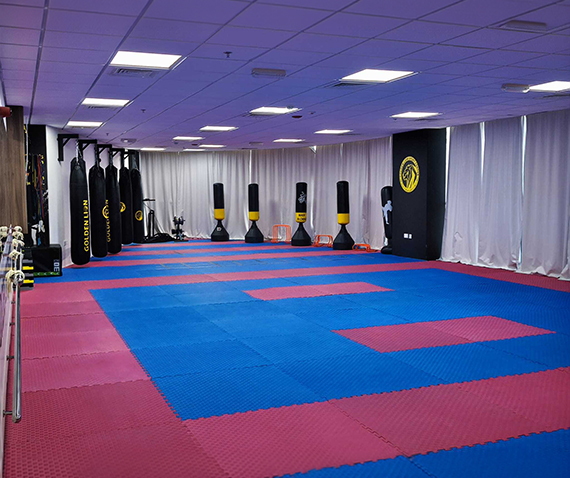 Golden Lion Training